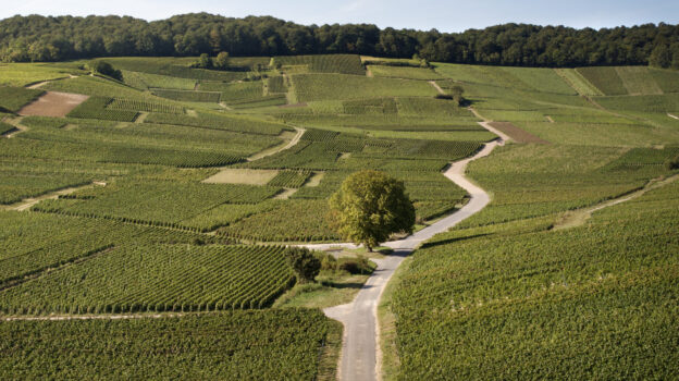 CHARLES HEIDSIECK