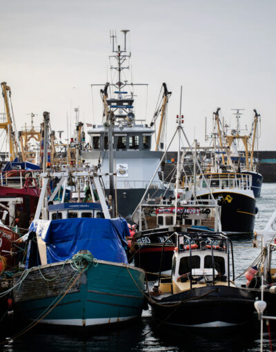 FLYING FISH SEAFOODS