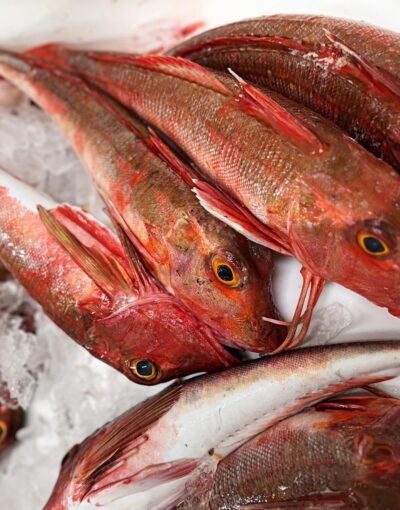 DIRECT SEAFOOD