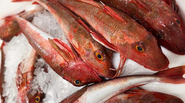 DIRECT SEAFOOD