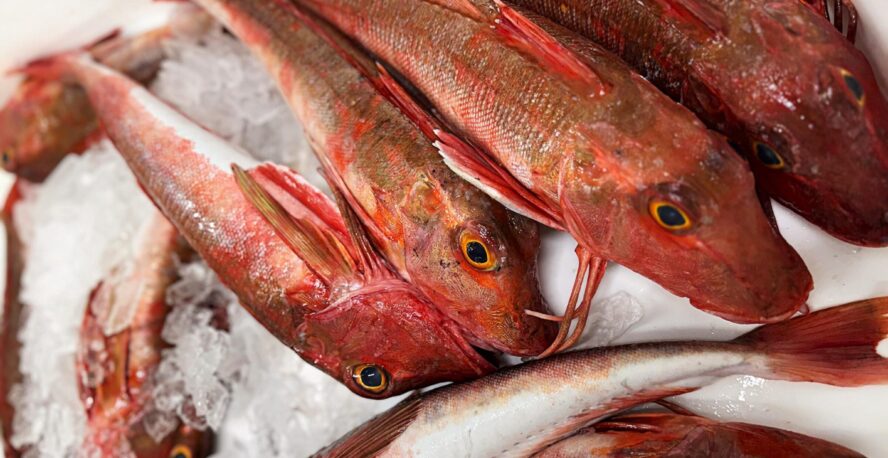 MEET THE MAKERS: Q&A WITH MURRAYS SEAFOOD